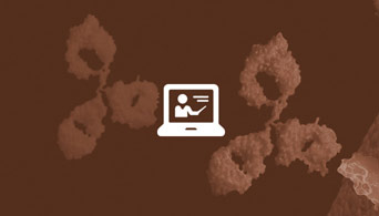 Tips and Tools for Successful Immunotherapy Bioassay Development