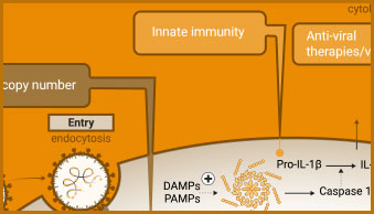 immune-tile-left2