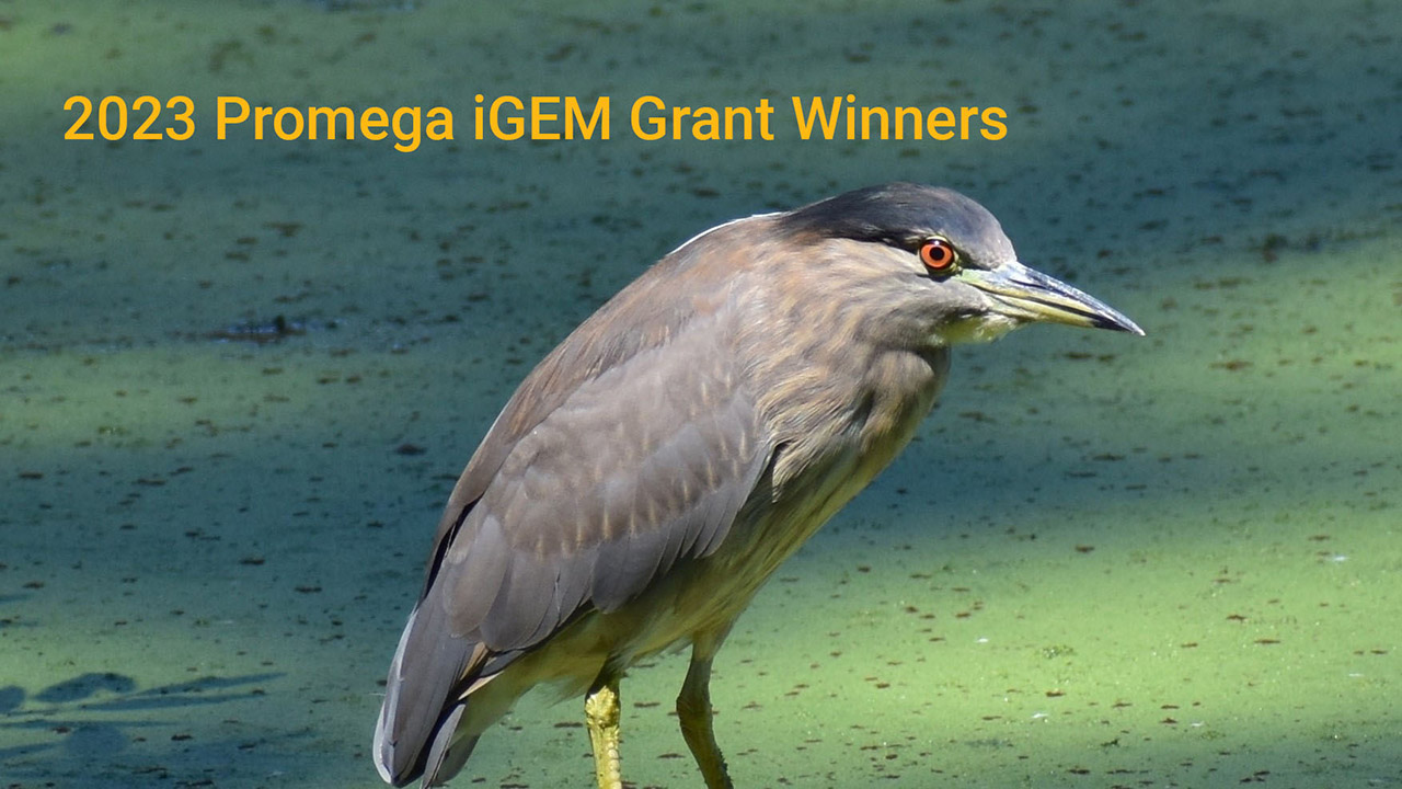 2023-igem-og-1280x720