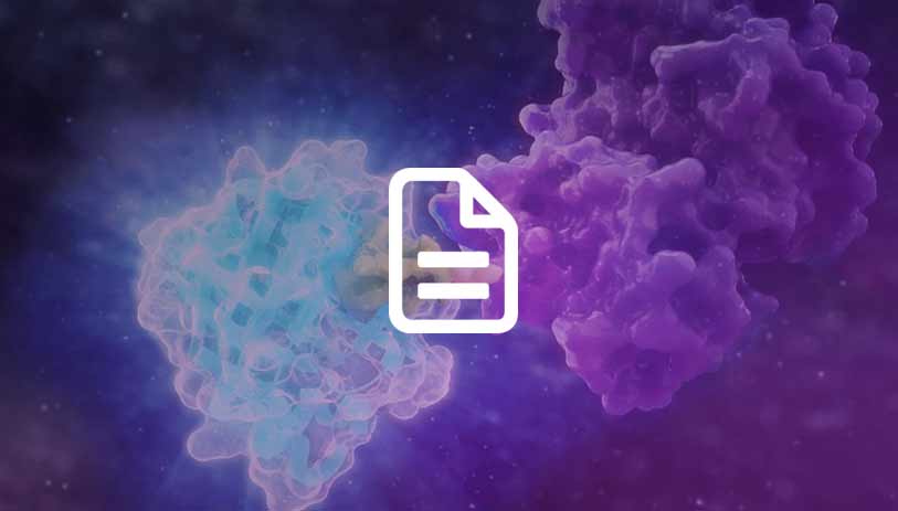 antibody-free endogenous protein detection with HiBiT tag