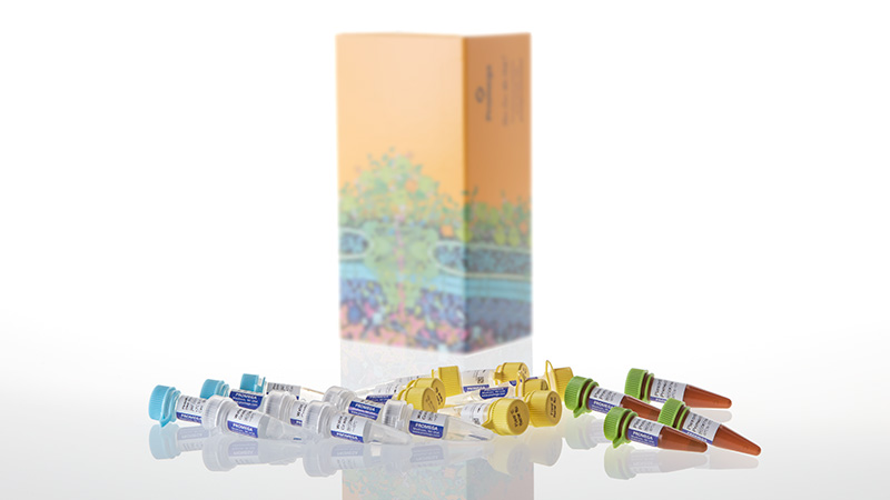 DC1000_Plexor--HY-System--800-rxn