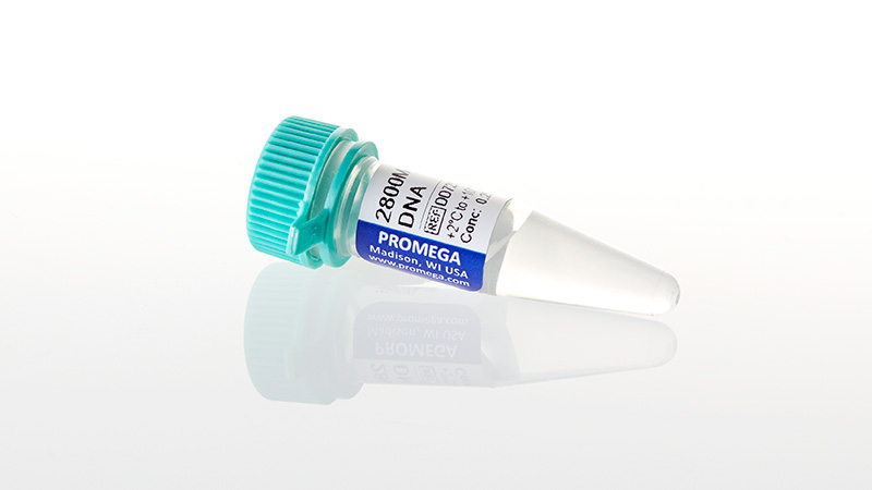 DD7251_2800M-Control-DNA--0-25ng-3aul--500ul_3