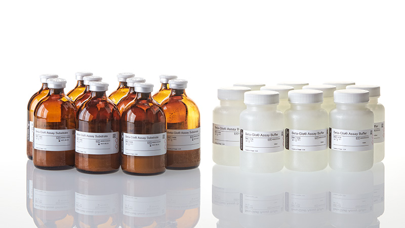 E4780_Beta-Glo--Assay-System--10-x-100ml_3