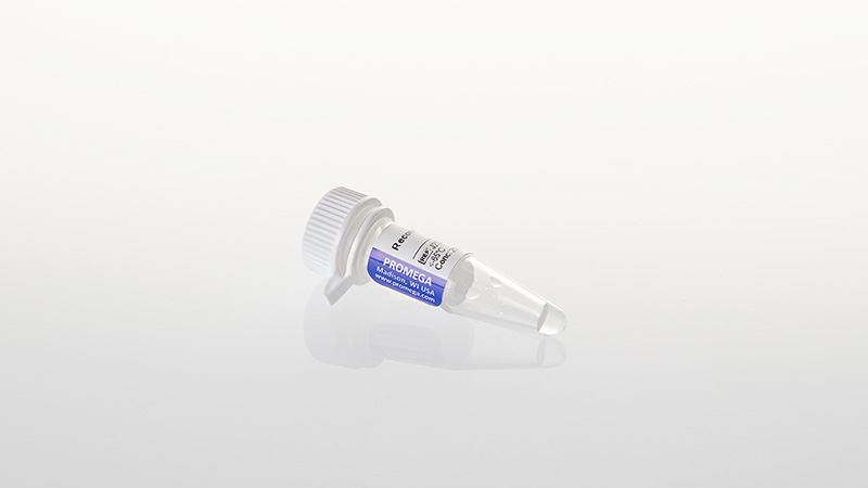 Recombinant VEGF for Bioassay Positive Control