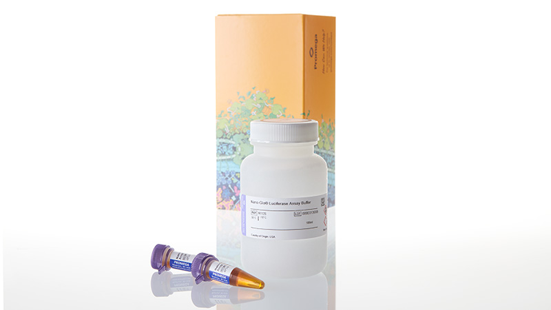 N1120_Nano-Glo--Luciferase-Assay--100ml_3