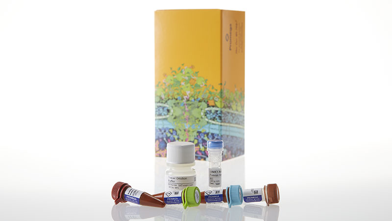 N2630_NanoBRETTM-TE-Intracellular-Kinase-Assay--K-9--100-assays_3