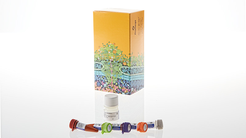 N2910_-NanoBRET--TE-Intracellular-E3-Ligase-Assay--CRBN_3