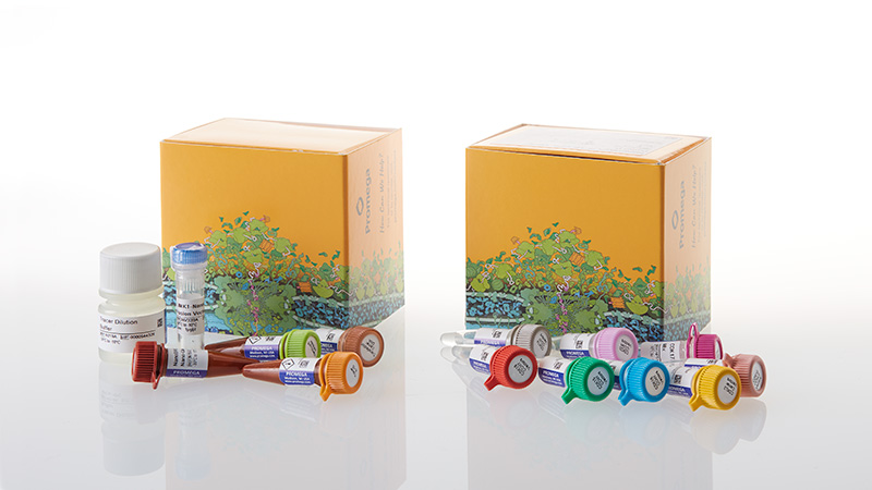 NanoBRET™ TE CDK Selectivity System B