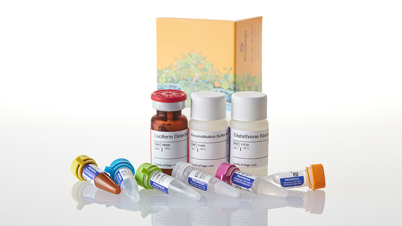 V6611_GSH-3aGSSG-Glo--Assay--10ml_3
