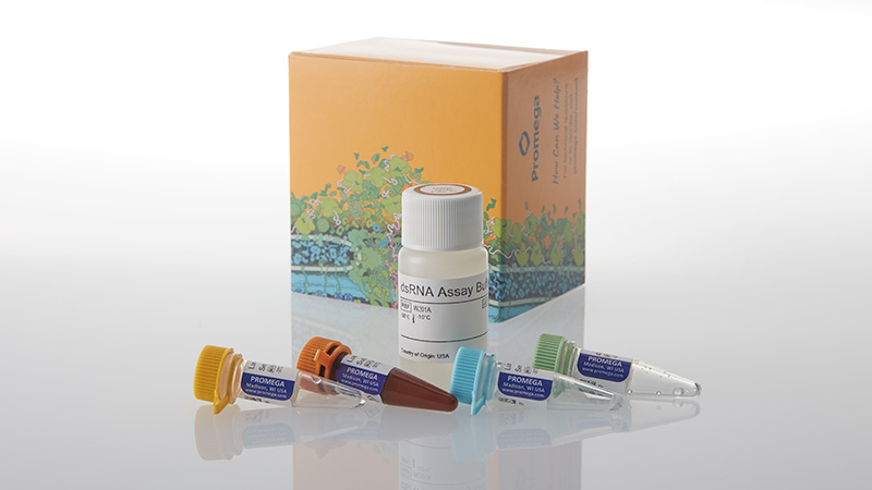 w2041-lumit-dsrna-detection-assay