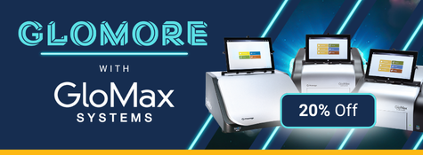 glomore-banner
