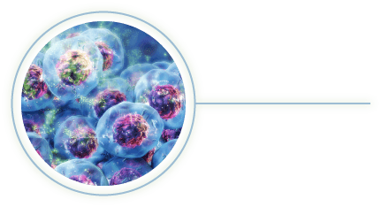 Image of CellTiter-Glo Assay Technology