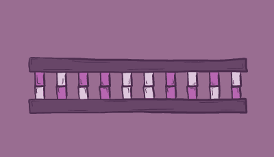 A double-stranded DNA fragment splits into separate strands