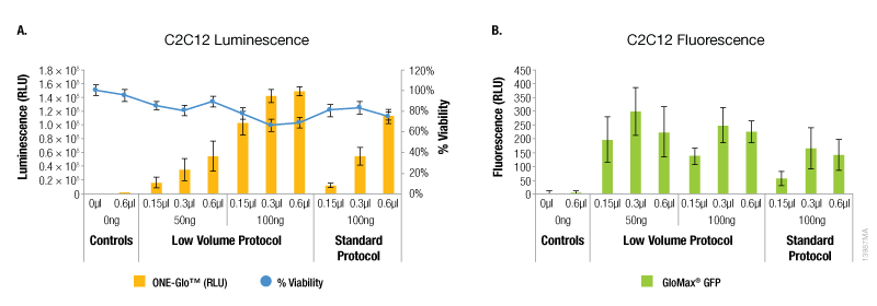 Transfection efficiency for C2C12 cell line.