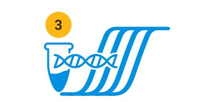 Direct PCR workflow Step 3: Amplify and Analyze