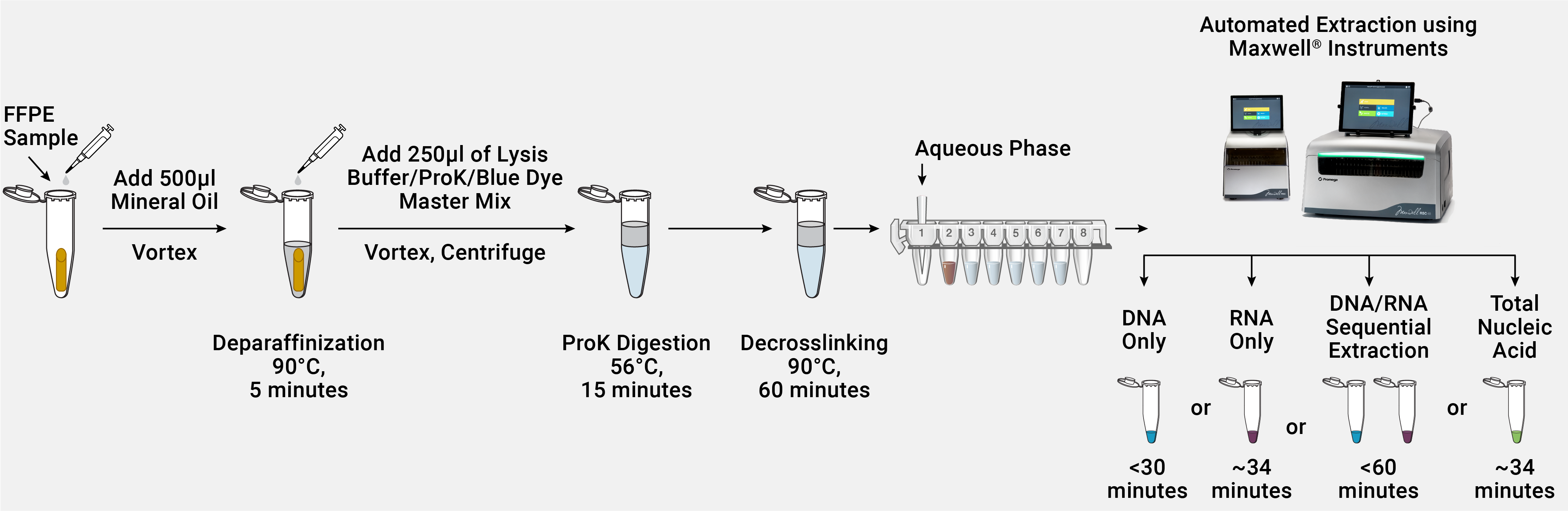 Illustration depicting the Maxwell® RSC XtractAll FFPE DNA/RNA Kit workflows.