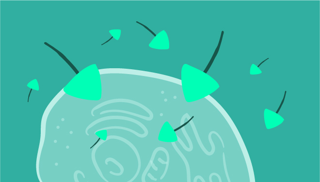 proteindetsubpage-tagging-three-web