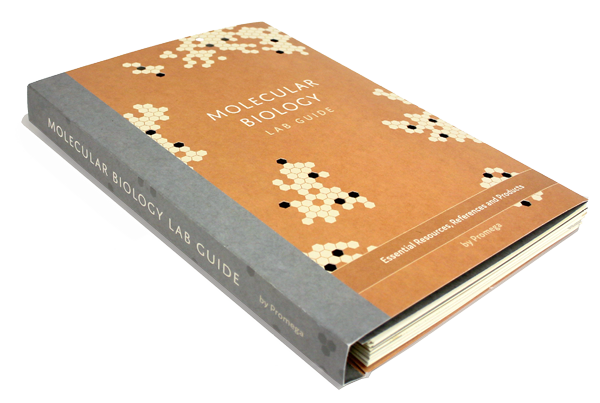 labguidemask-wide-600px