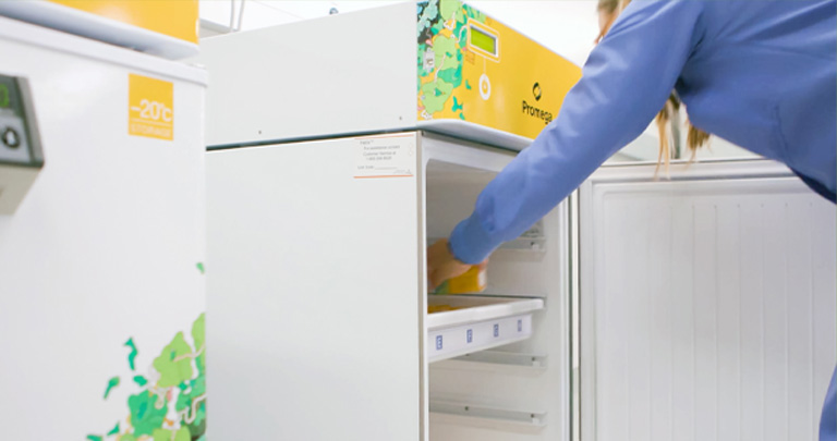 zero-emissions-crr-2024-web-updatesjpg